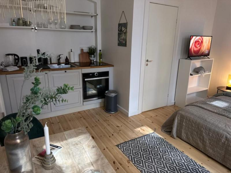 كوبنهاجن Fantastic Studio Apartment المظهر الخارجي الصورة